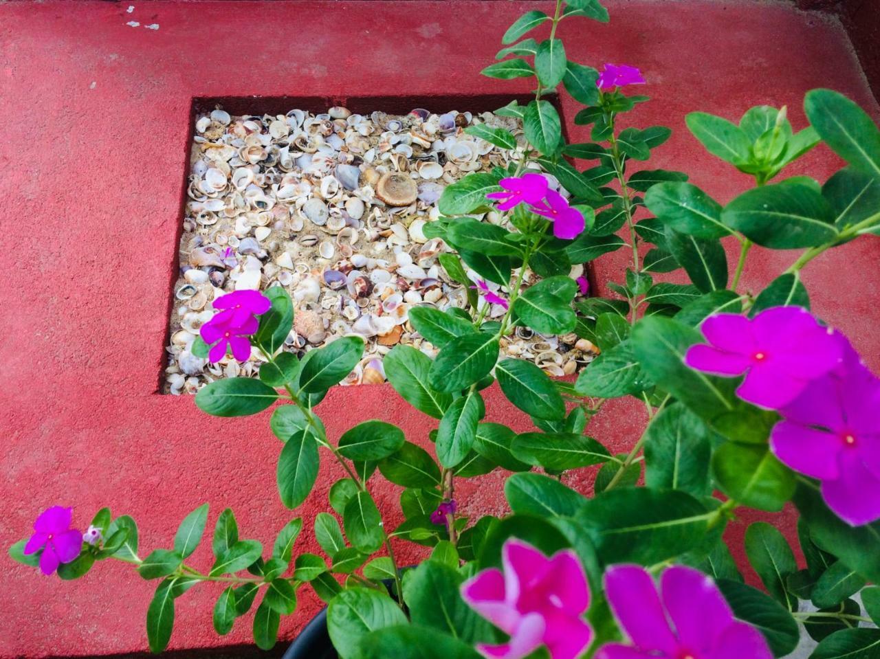 Tropicana Home Stay Arugam Bay Exterior photo