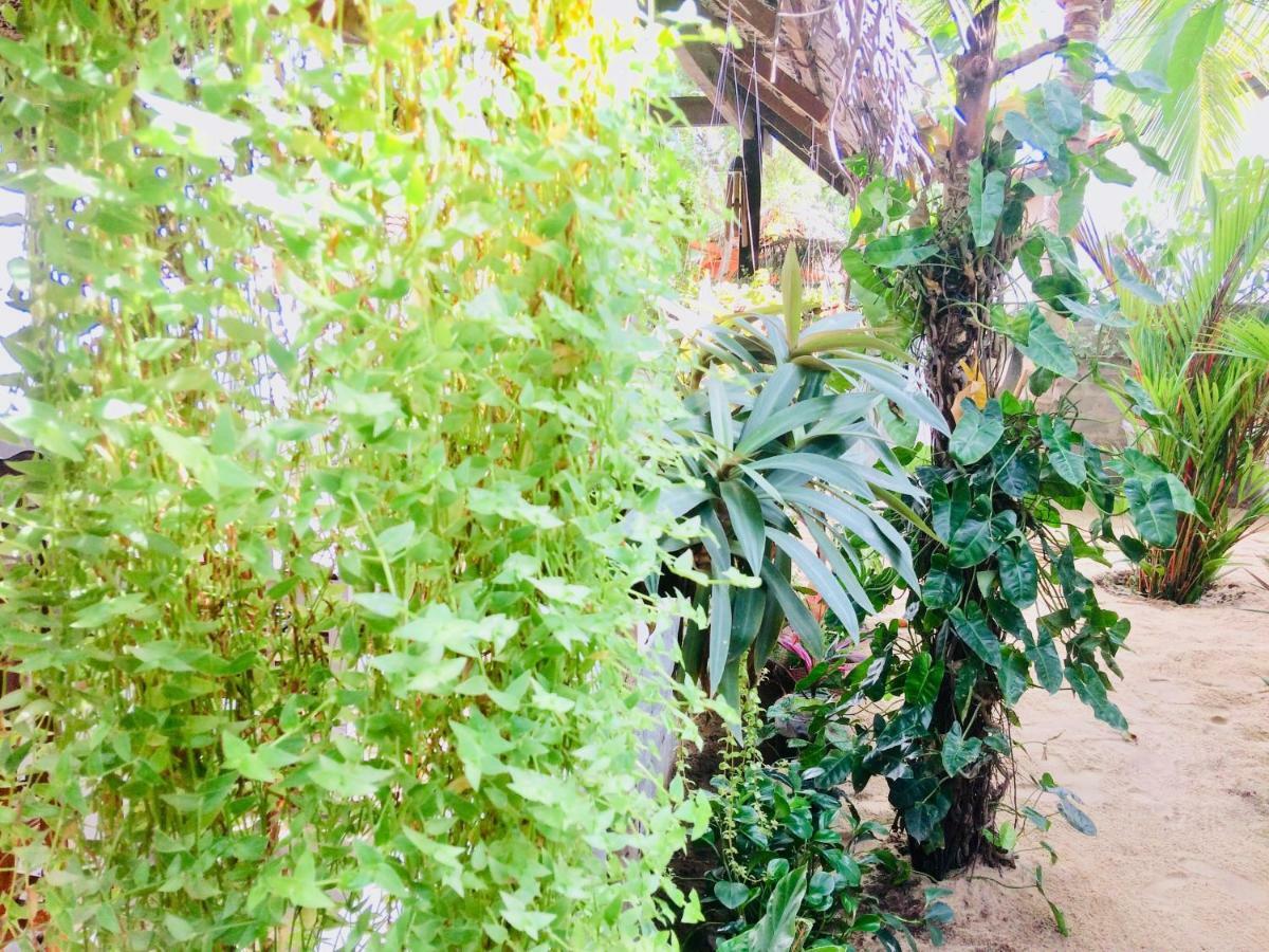 Tropicana Home Stay Arugam Bay Exterior photo