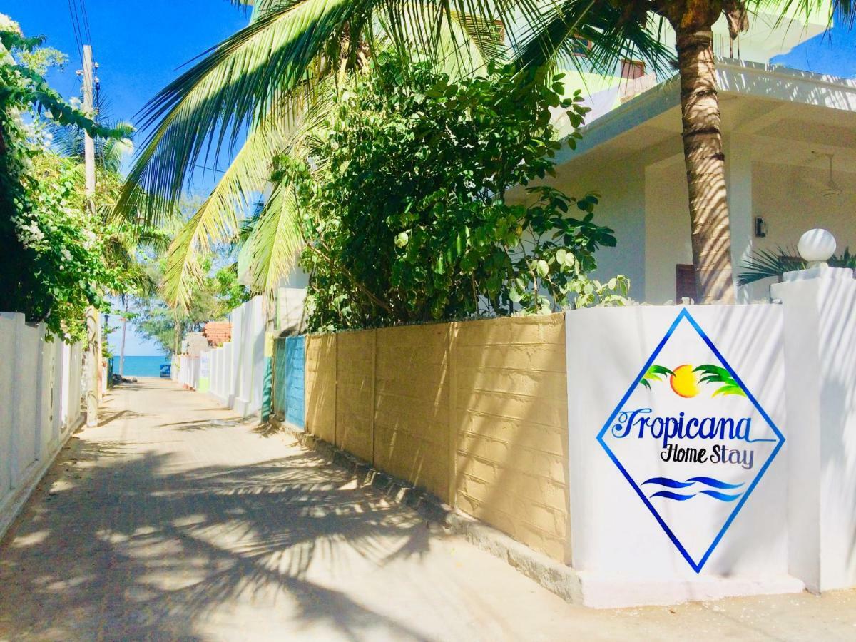 Tropicana Home Stay Arugam Bay Exterior photo